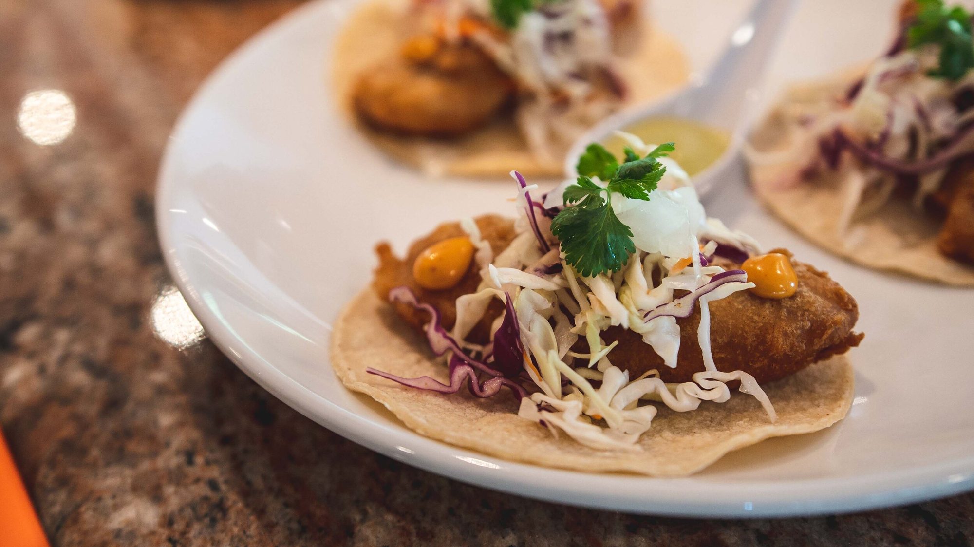 A fish taco close up, slaw and cilantro on top