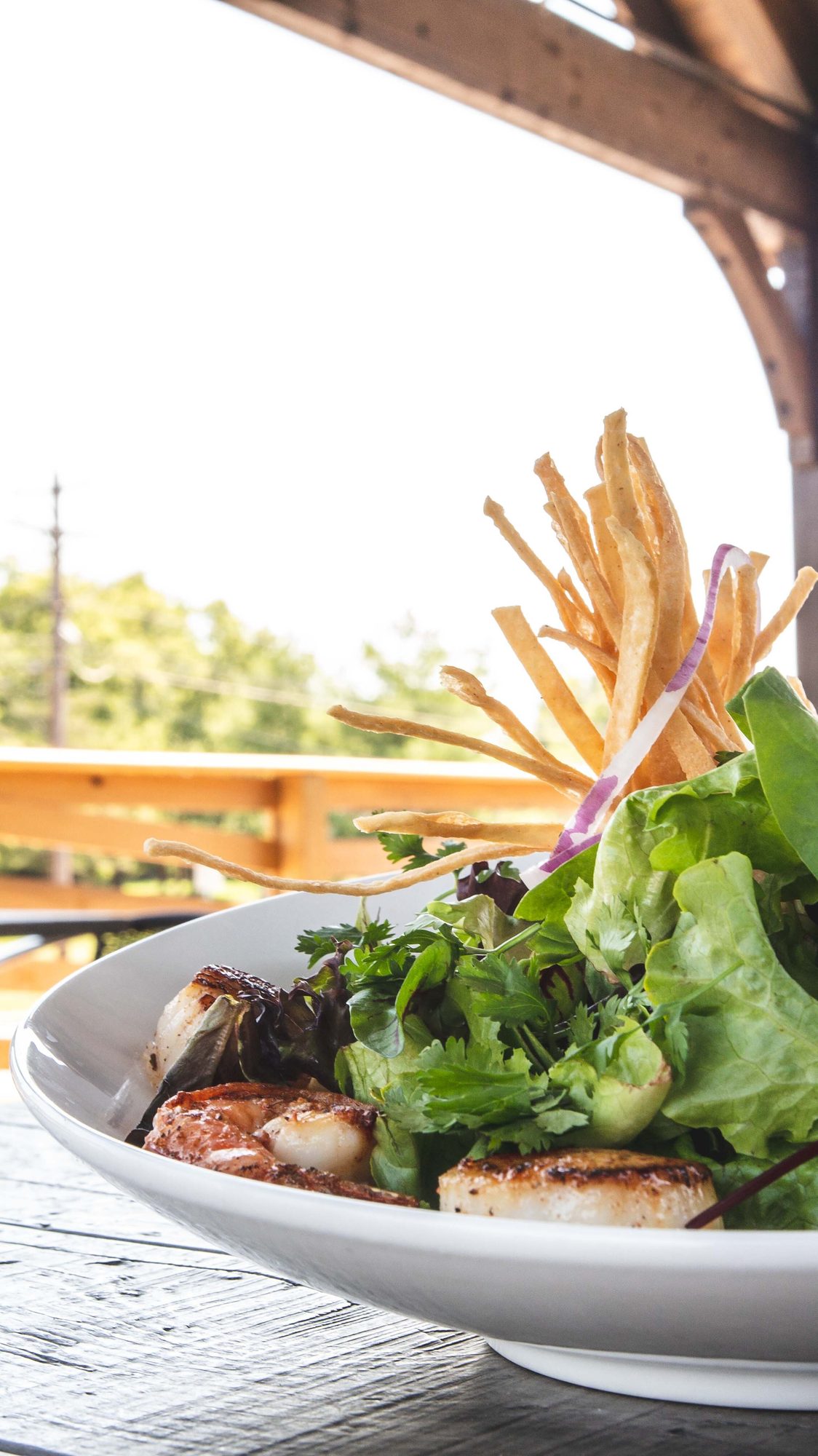 A bowl of shrimp and scallop salad